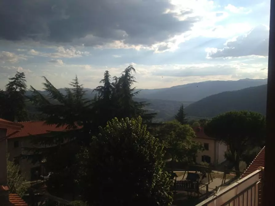 appartamento in vendita a Capolona