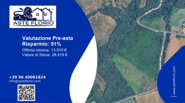 terreno agricolo in vendita a Capolona