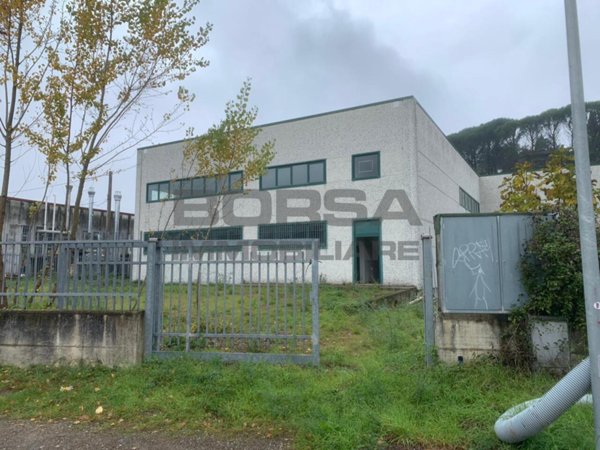 negozio in vendita a Capolona