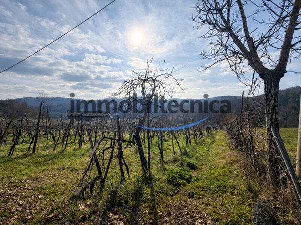 terreno agricolo in vendita a Capolona