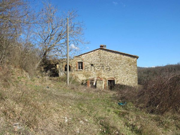 esavano in vendita a Capolona