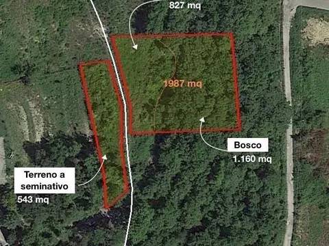 terreno agricolo in vendita a Capolona