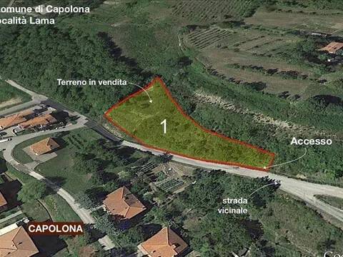 terreno agricolo in vendita a Capolona