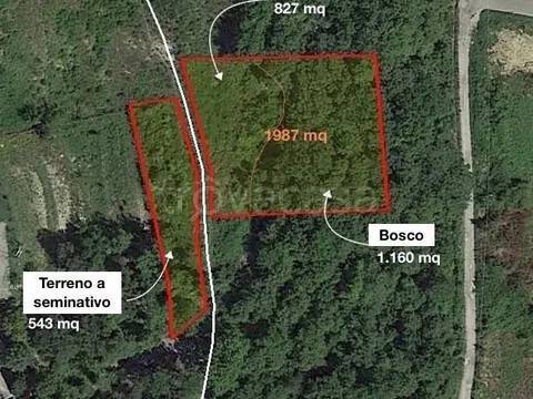 terreno agricolo in vendita a Capolona