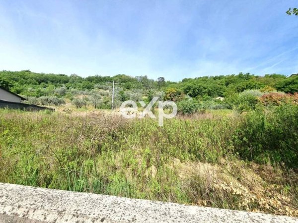 terreno agricolo in vendita a Capolona
