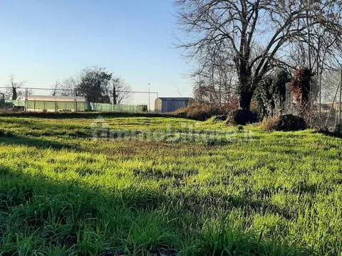 casa indipendente in vendita a Capolona in zona Pieve San Giovanni