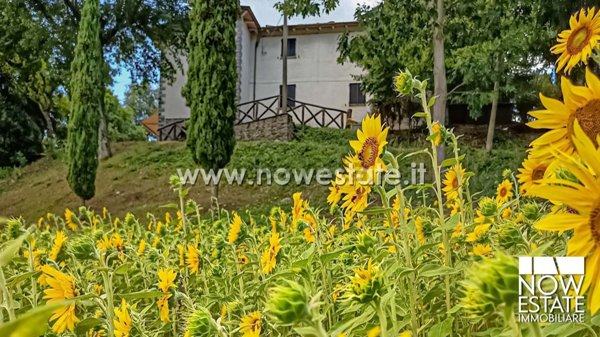 casa indipendente in vendita a Caprese Michelangelo