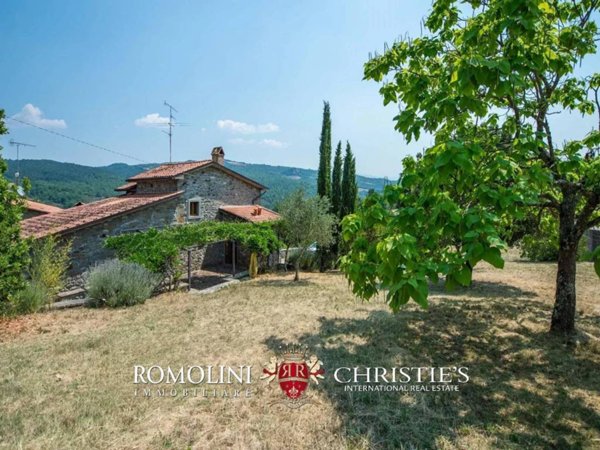 casa indipendente in vendita a Caprese Michelangelo