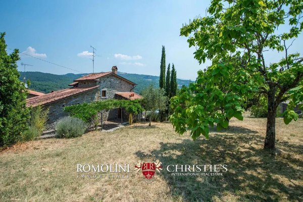 casa indipendente in vendita a Caprese Michelangelo