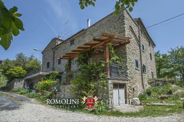 casa indipendente in vendita a Caprese Michelangelo