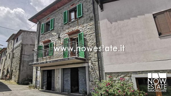 pentavano in vendita a Caprese Michelangelo in zona Fragaiolo