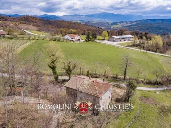 casa indipendente in vendita a Caprese Michelangelo