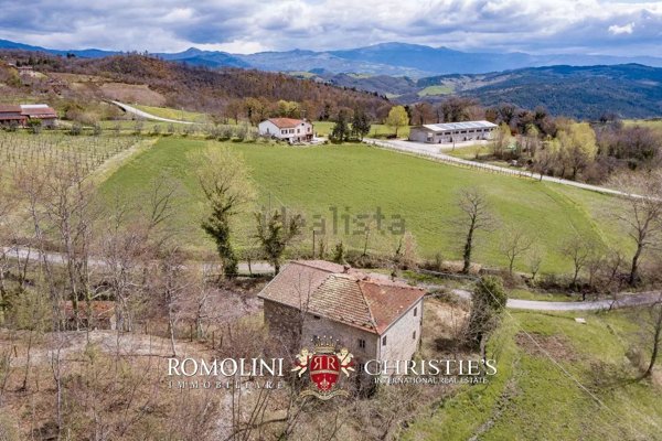 casa indipendente in vendita a Caprese Michelangelo in zona San Cristoforo