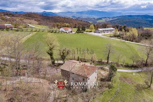 casa indipendente in vendita a Caprese Michelangelo