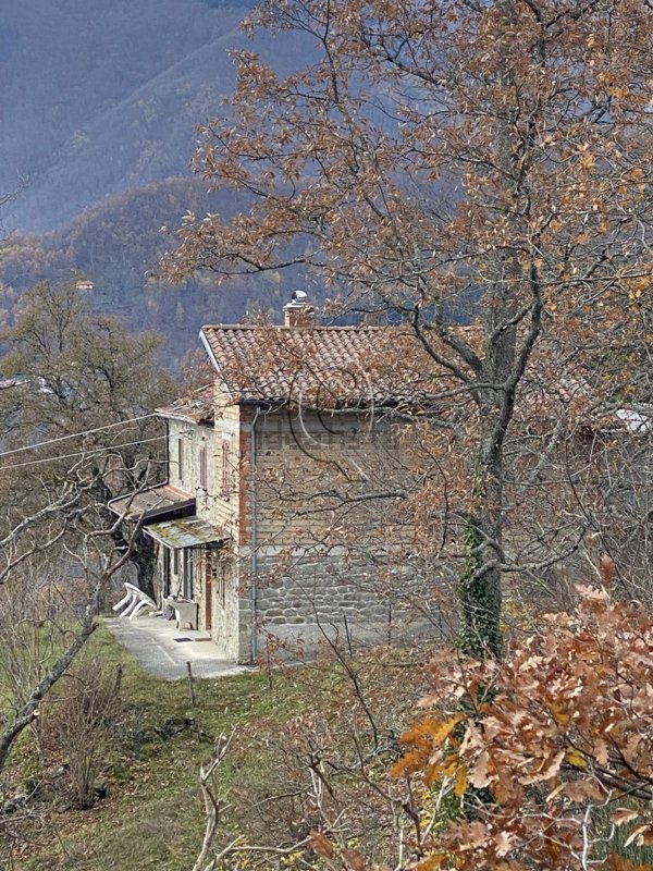 casale in vendita a Caprese Michelangelo