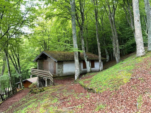 casa indipendente in vendita a Caprese Michelangelo