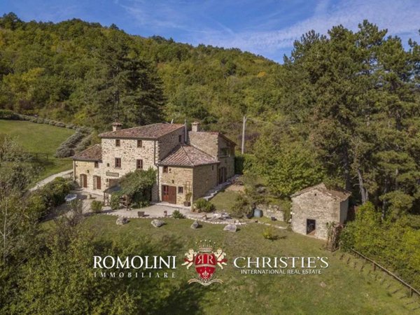 casa indipendente in vendita a Caprese Michelangelo