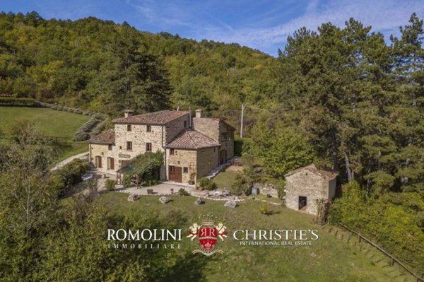 casa indipendente in vendita a Caprese Michelangelo