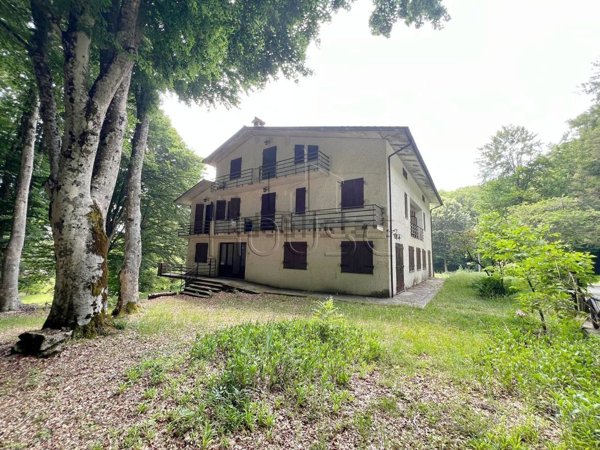 appartamento in vendita a Caprese Michelangelo