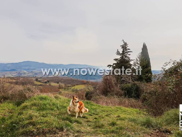 rudere in vendita a Caprese Michelangelo