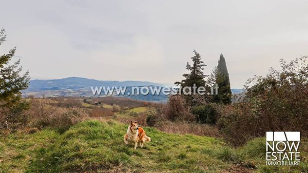 casa indipendente in vendita a Caprese Michelangelo