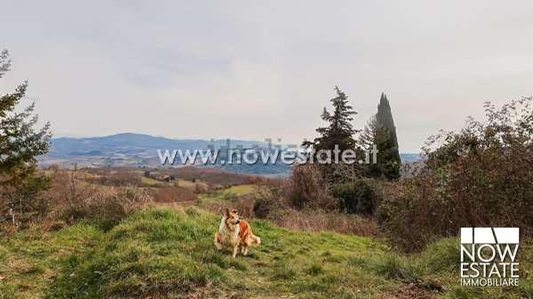 rudere in vendita a Caprese Michelangelo