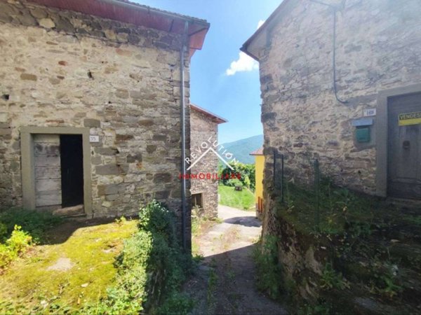 casa indipendente in vendita a Caprese Michelangelo