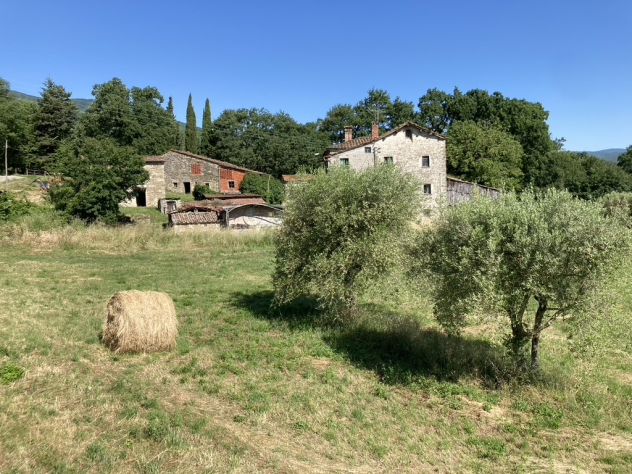 terreno agricolo in vendita a Caprese Michelangelo