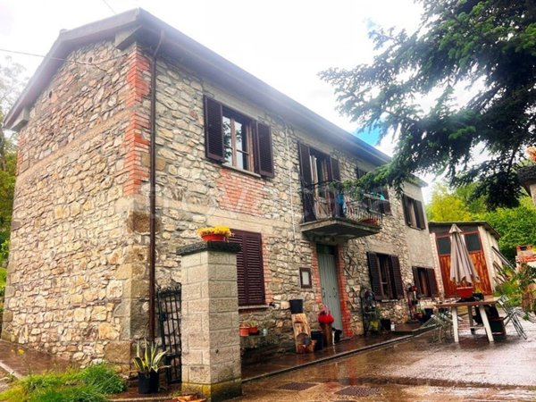 casa indipendente in vendita a Caprese Michelangelo