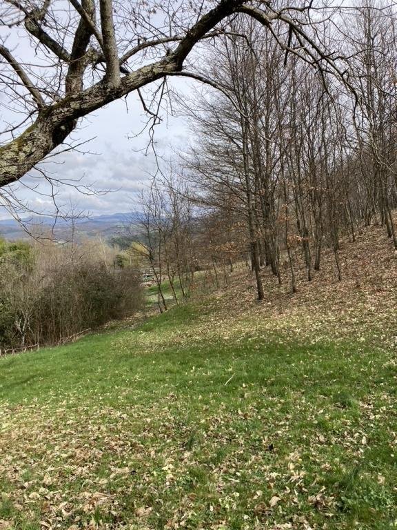 terreno agricolo in vendita a Caprese Michelangelo in zona San Cristoforo