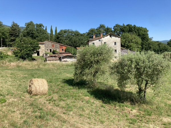 terreno agricolo in vendita a Caprese Michelangelo in zona San Cristoforo
