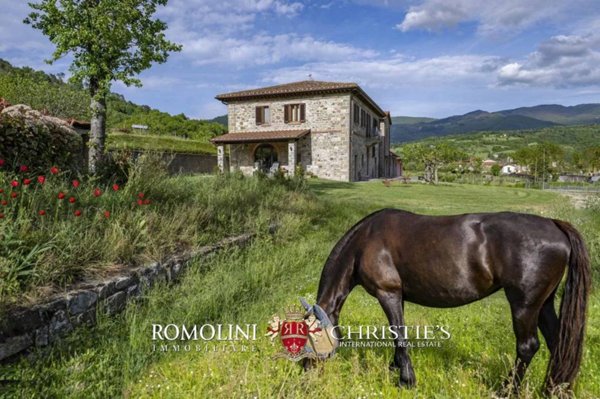 casa indipendente in vendita a Castel Focognano
