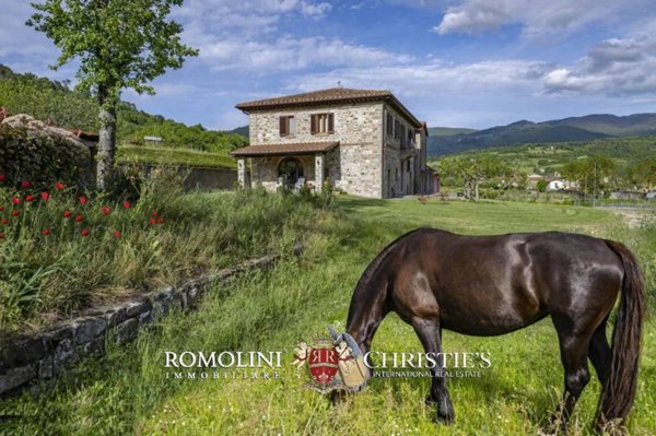 casa indipendente in vendita a Castel Focognano