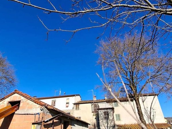 casa indipendente in vendita a Castel Focognano in zona Salutio