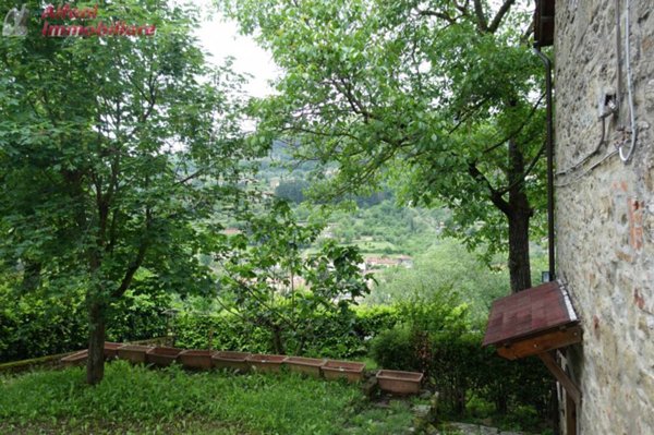 appartamento in vendita a Castel San Niccolò