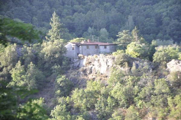 appartamento in vendita a Castel San Niccolò