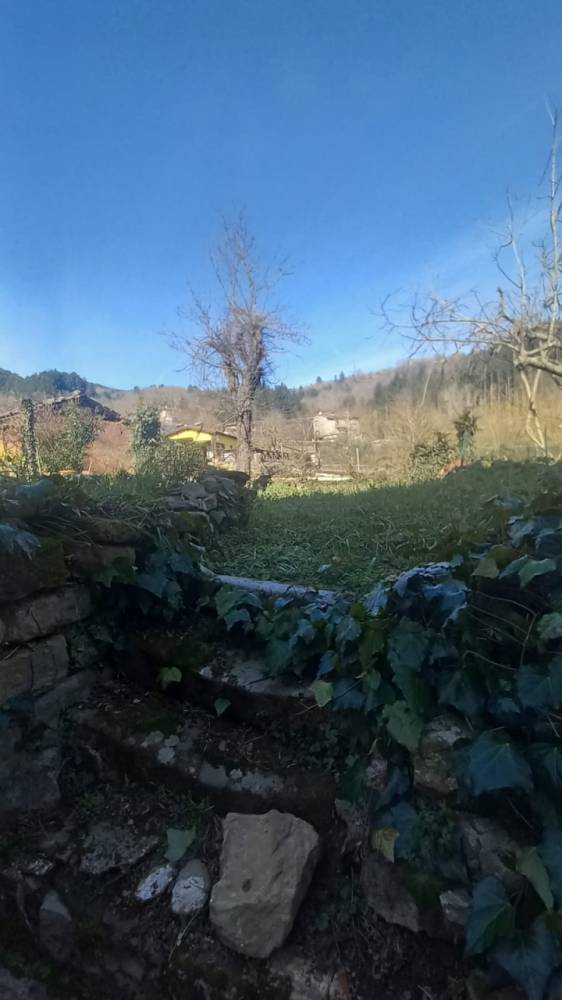 casa indipendente in vendita a Castel San Niccolò
