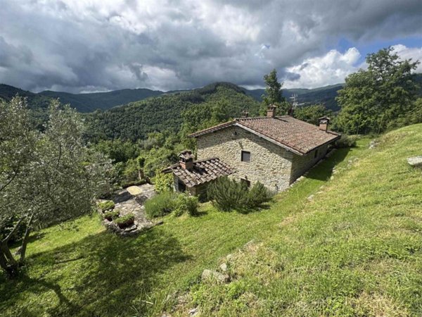 casa indipendente in vendita a Castel San Niccolò in zona Prato di Strada