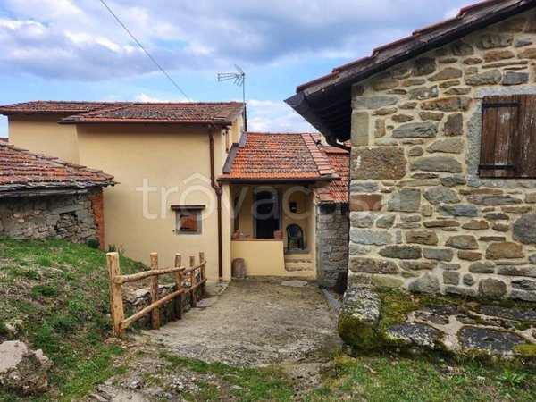 casa indipendente in vendita a Castel San Niccolò in zona Cetica