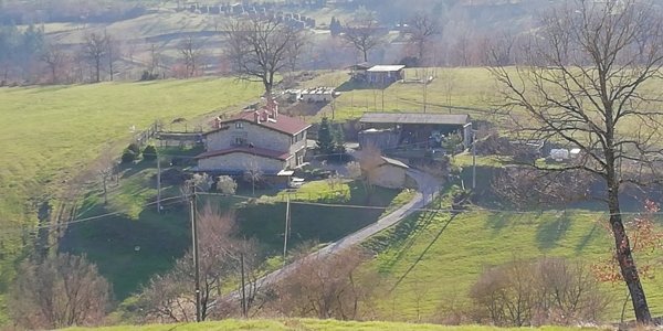 casa indipendente in vendita a Castel San Niccolò in zona Borgo alla Collina