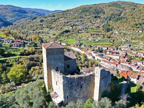 casa indipendente in vendita a Castel San Niccolò