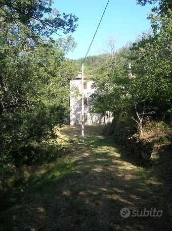 casa indipendente in vendita a Castel San Niccolò