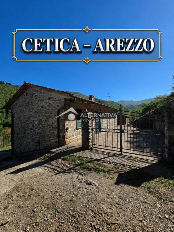 casa indipendente in vendita a Castel San Niccolò in zona Cetica