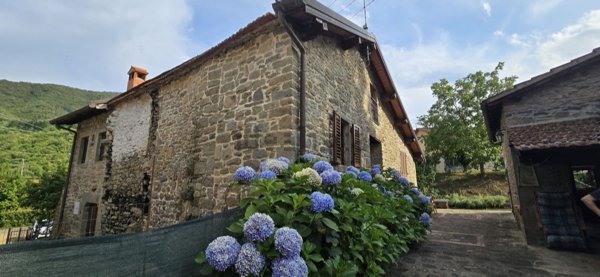 casa indipendente in vendita a Castel San Niccolò in zona Cetica
