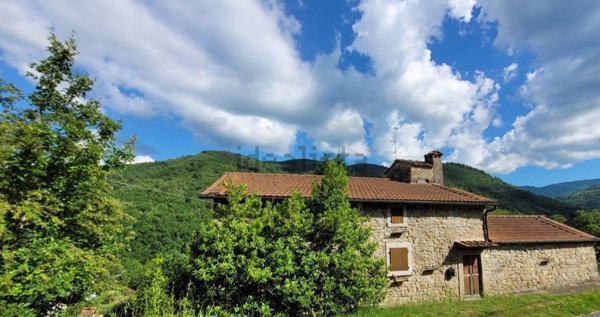 casa indipendente in vendita a Castel San Niccolò in zona Prato di Strada