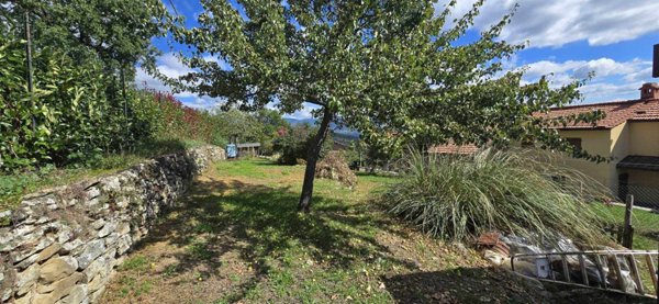 casa indipendente in vendita a Castel San Niccolò in zona Cetica