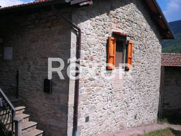 casa indipendente in vendita a Castel San Niccolò in zona Cetica