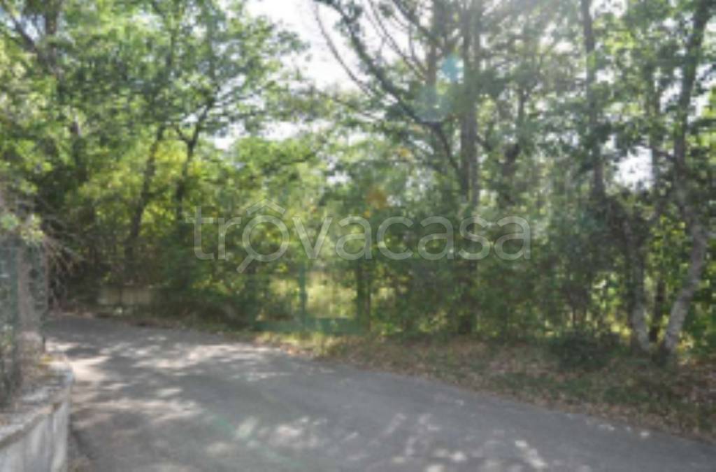 terreno agricolo in vendita a Castiglion Fibocchi
