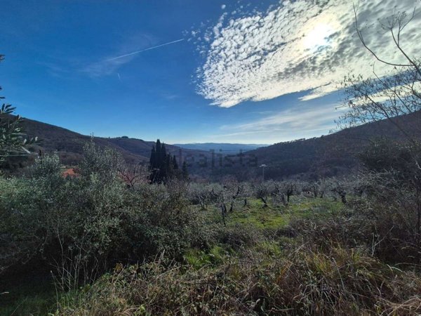 casa indipendente in vendita a Castiglion Fibocchi in zona Gello Biscardo