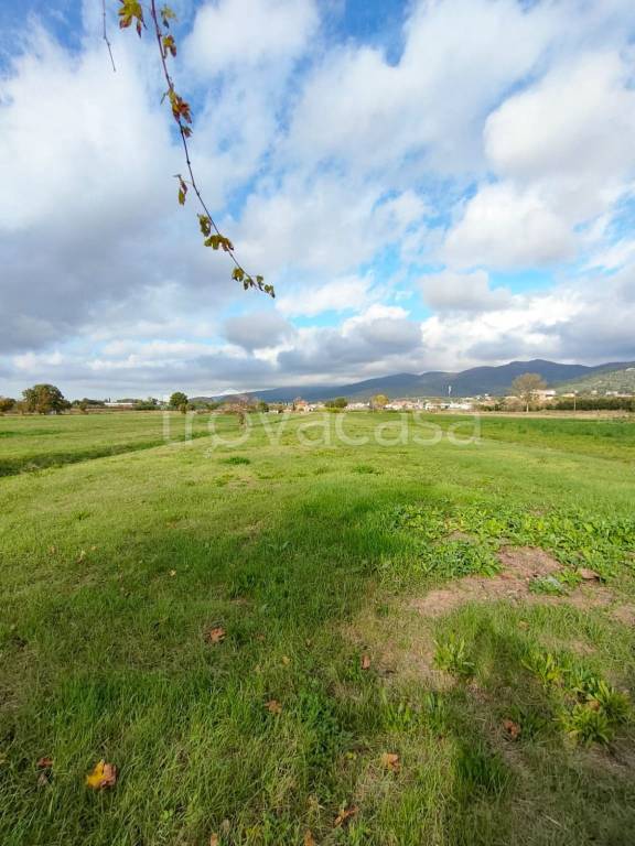 terreno agricolo in vendita a Castiglion Fiorentino